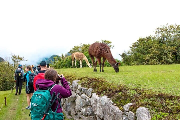 2-Day Sacred Valley & Machu Picchu Train Tour from Cusco | Vistadome Option photo 6