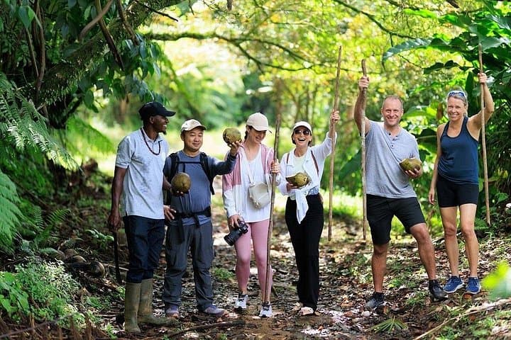 ATV Rainforest Adventure in St. Lucia: Beach Ride, River Crossing & Estate Tour photo 2