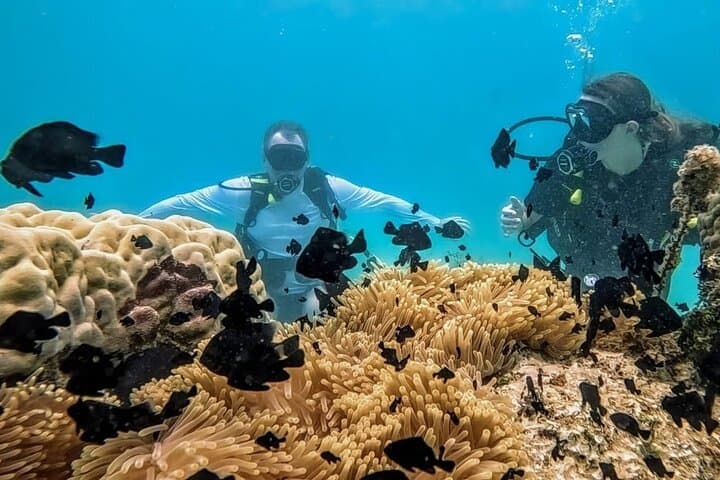 Teahupo'o Jurassic Tour: Private Boat, Diving & Snorkel Day Trip on Tahiti Peninsula photo 2