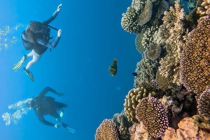 Teahupo'o Jurassic Tour: Private Boat, Diving & Snorkel Day Trip on Tahiti Peninsula photo 6