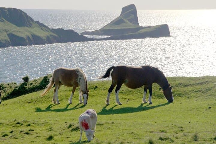 Gower Scenery Tour: Rhossili, Three Cliffs & Mumbles Coastal Drive photo 5