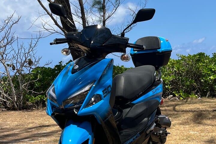 Cayman Brac Scooter Tour: Freedom on Two Wheels — Lighthouse, Caves & Parrot Preserve