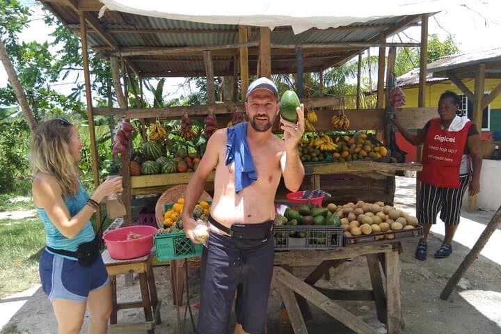 South Coast Cultural Tour: Appleton Estate, YS Falls, Black River & Pelican Bar