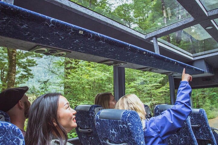 Milford Sound Coach and Cruise from Queenstown — Full-Day Fiordland Adventure photo 3
