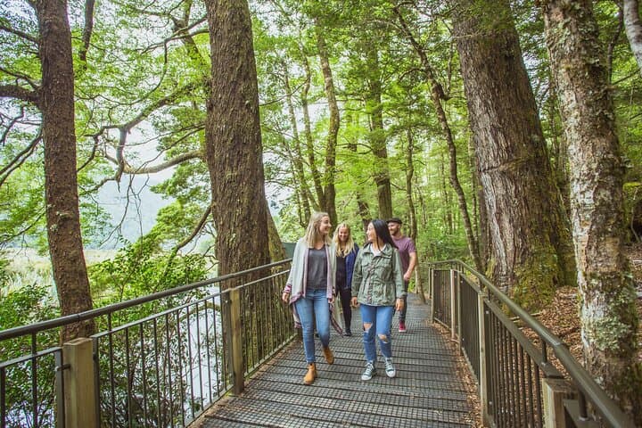 Milford Sound Coach and Cruise from Queenstown — Full-Day Fiordland Adventure photo 4