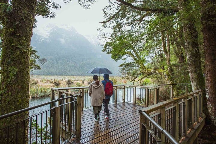 Milford Sound Coach and Cruise from Queenstown — Full-Day Fiordland Adventure photo 5