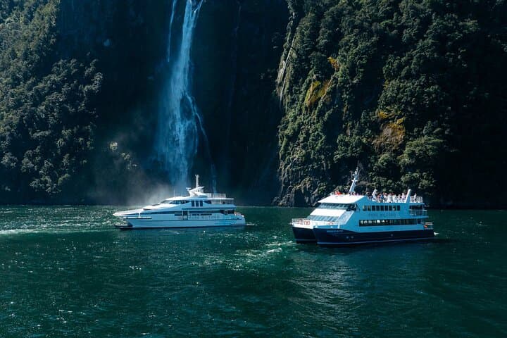 Milford Sound Premium Catamaran Cruise to Stirling Falls and Mitre Peak photo 1