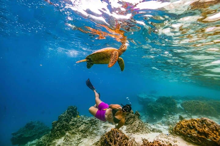 Swim With The Turtles in Rarotonga: Guided Snorkel at Muri Lagoon photo 3