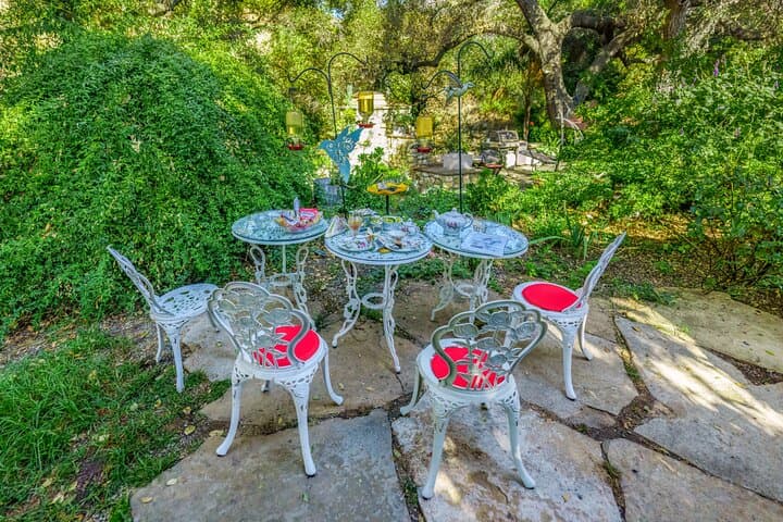 Tea with Hummingbirds: Up-Close Sanctuary Experience in California photo 2