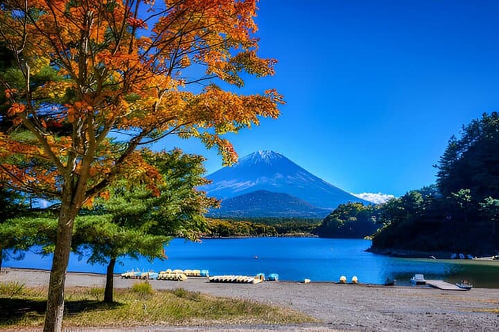 Fuji Five Lakes Guided Day Trip — Best Views, Lakes & Cultural Stops photo 5