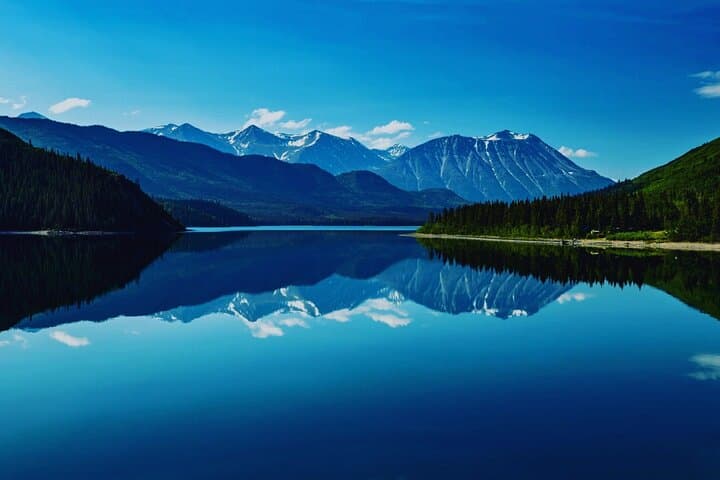 Explore Ketchikan’s Wild Side: Custom Private 6-Hour Tour Through Tongass and Beyond photo 4