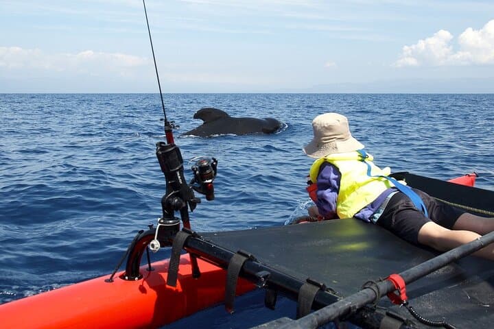4-Day Private Sailing Adventure in Alaska's Inside Passage photo 6