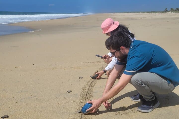 Puerto Escondido Day Trip from Oaxaca — Carrizalillo Beach, Surf & Turtle Release photo 5