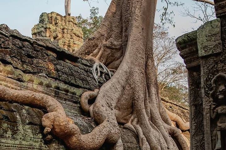 Private Angkor Wat Full-Day Tour with Sunrise or Sunset from Siem Reap photo 4