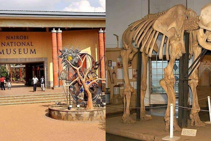 Half-Day in Nairobi: National Museum and Snake Park Tour photo 3