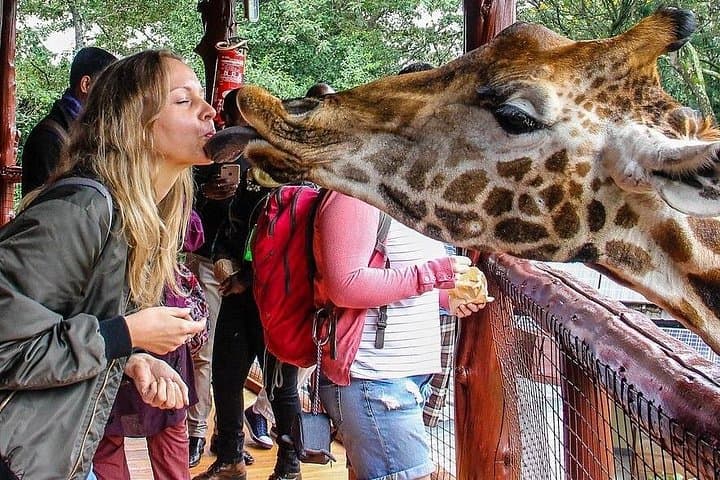 Nairobi Day Tour: Giraffe Center, Karen Blixen Museum & Kazuri Beads photo 2
