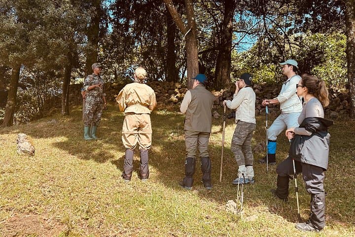 Kigali to Volcanoes National Park: Private Gorilla Trek & Volcano Hike photo 3