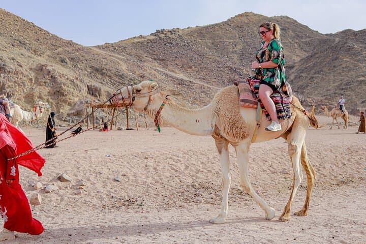 Hurghada Desert Super Safari: Quad, Spider Car & Bedouin Dinner Experience photo 3