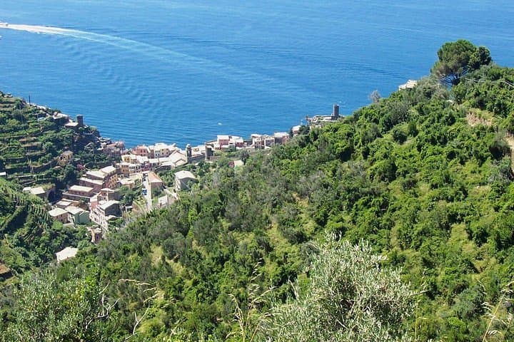 Sanctuary Hike Above Vernazza with DOC 5 Terre Wine & Olive Oil Tasting photo 2