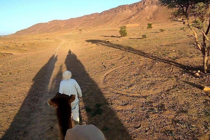 Marrakech to Zagora in 2 Days: Atlas Passes, Aït Ben Haddou & Sahara Camp photo 2