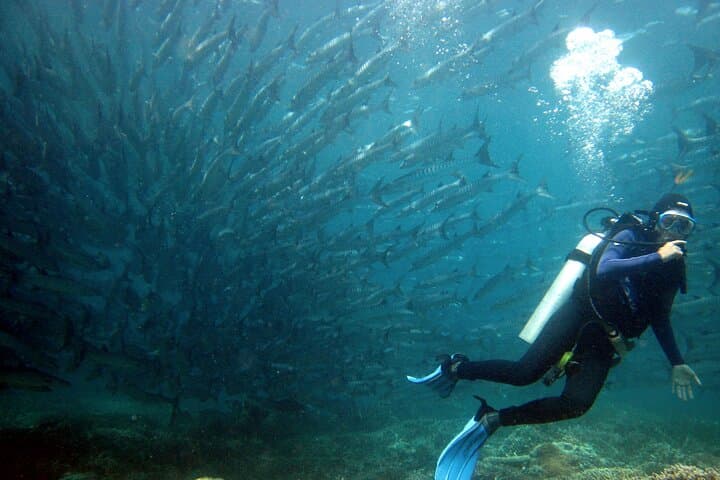 Mataking 3-Dive Day Trip: Semporna Scuba Diving and Island Hopping photo 6