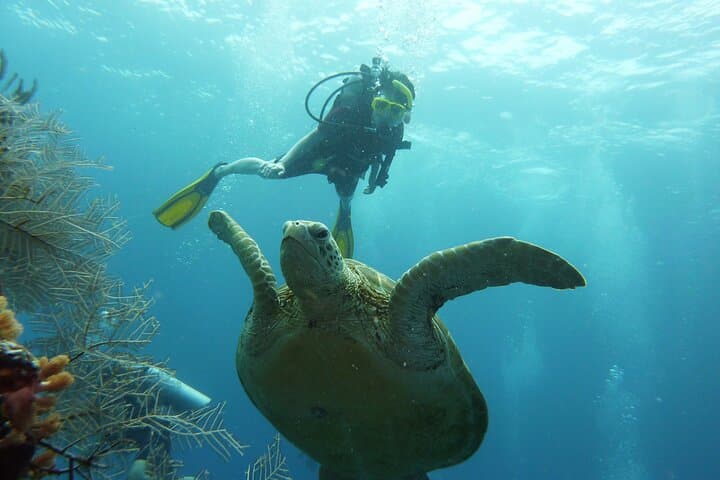 Mataking 3-Dive Day Trip: Semporna Scuba Diving and Island Hopping photo 5