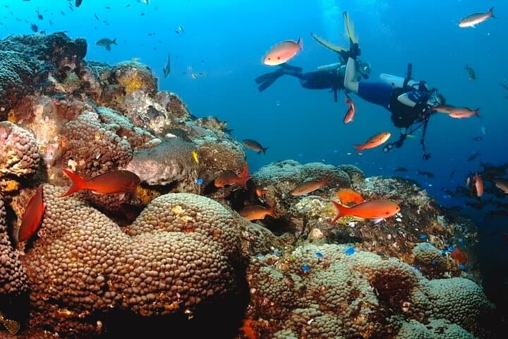 Mataking 3-Dive Day Trip: Semporna Scuba Diving and Island Hopping
