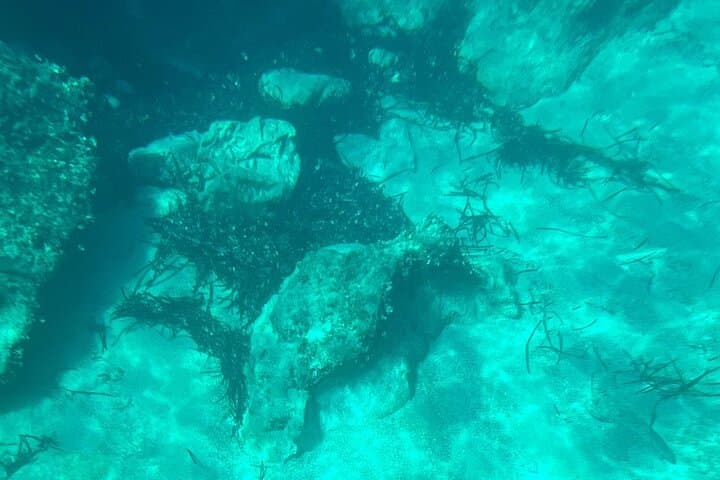 Dubrovnik Blue Cave & Elaphiti Islands Boat Tour with Optional Lunch photo 2