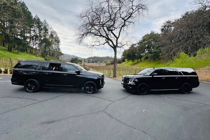 Private Napa and Sonoma Wine Tour with Chauffeured Transportation photo 2