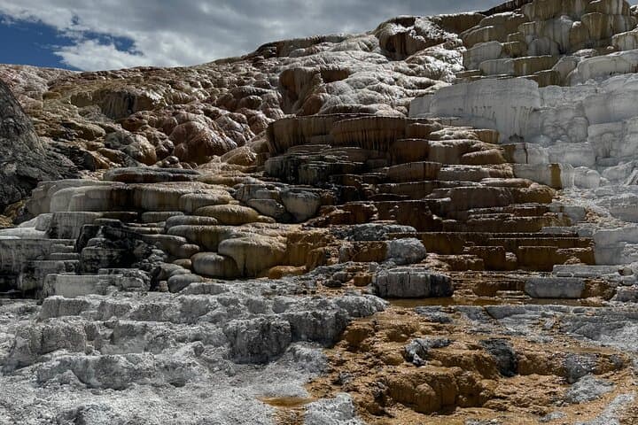 Yellowstone Private Tour: Old Faithful, Grand Prismatic & Grand Canyon in a Day photo 2