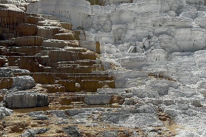 Yellowstone Private Tour: Old Faithful, Grand Prismatic & Grand Canyon in a Day photo 5