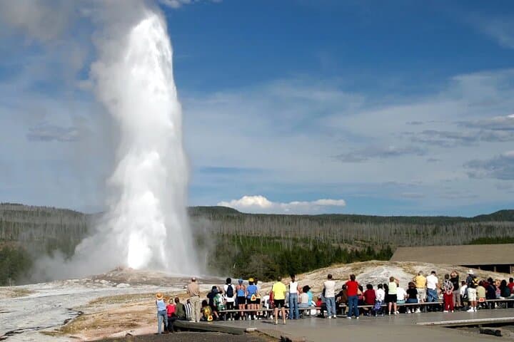 Yellowstone Private Tour: Old Faithful, Grand Prismatic & Grand Canyon in a Day