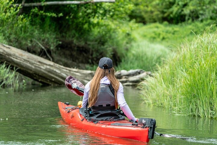 Howe Sound Kayak Rental: Full-Day Squamish Expedition photo 3
