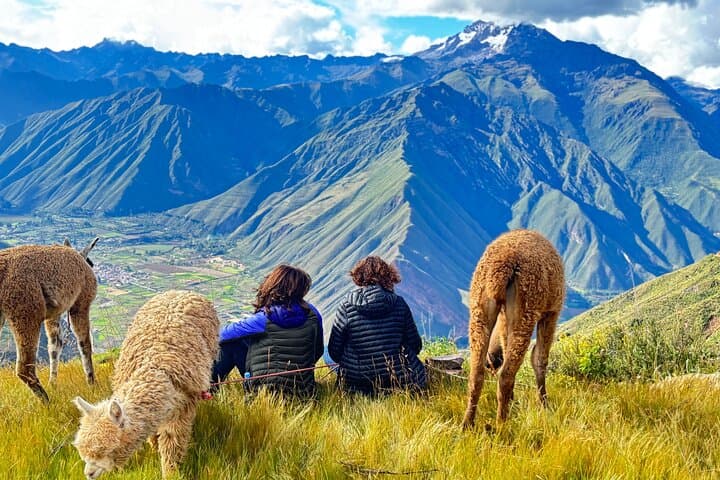 Walk with Alpacas in Peru's Sacred Valley: Half-Day Cultural Hike from Cusco photo 6