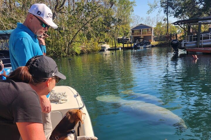 Private Crystal River Manatee Boat Tour: Kings Bay Wildlife Cruise