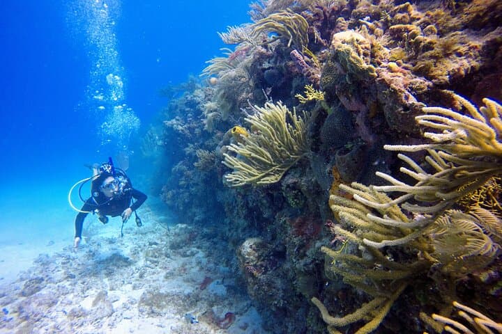 Mini Diving Course in San Andrés — Intro Scuba Experience (6–12 m) photo 3