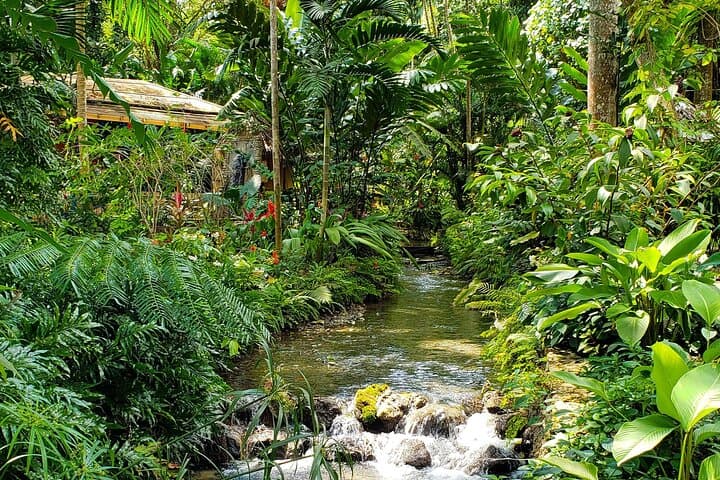Ocho Rios Bamboo Rafting and Beach Horseback Ride — White River & Coastal Trails photo 3