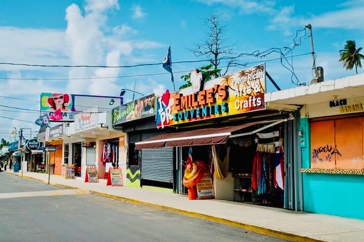 Rainforest Waterslides and Luquillo Beach Day Trip from San Juan photo 4