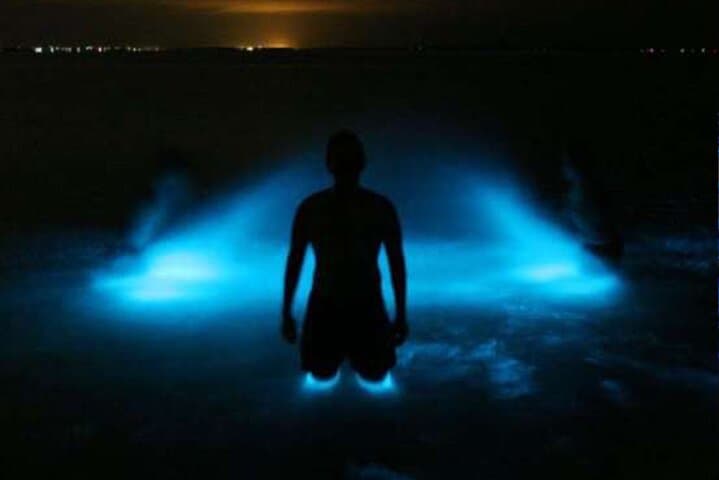 Luminous Lagoon Falmouth: Night Boat Ride & Bioluminescent Swim Guide photo 4