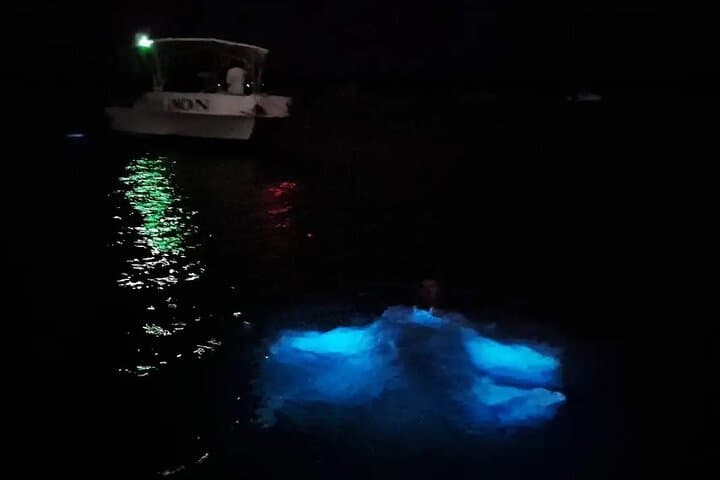 Luminous Lagoon Falmouth: Night Boat Ride & Bioluminescent Swim Guide photo 6