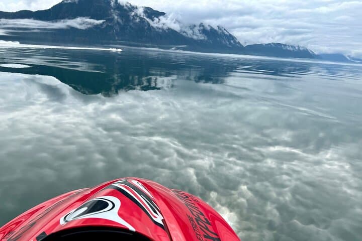 Explore Juneau Waters on a Jetski Whale Adventure: Mendenhall Glacier & Wildlife Up Close photo 2