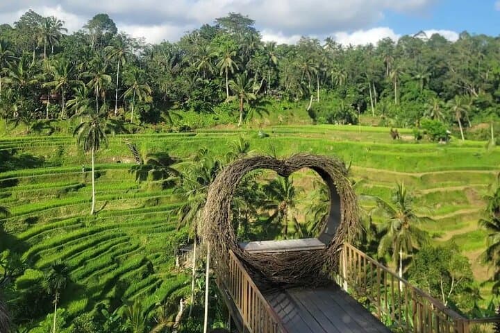 Ubud Day Tour: Monkey Forest, Tegalalang Swing & Sacred Temples photo 4