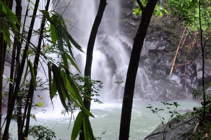 Private Guided Waterfall & Cultural Adventure in Nadi, Fiji photo 3