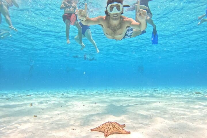 Cozumel Snorkel Day Trip from Cancun — Palancar & El Cielo Highlights