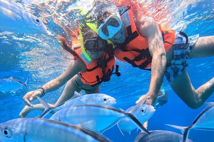 Cozumel Snorkel Day Trip from Cancun — Palancar & El Cielo Highlights photo 5
