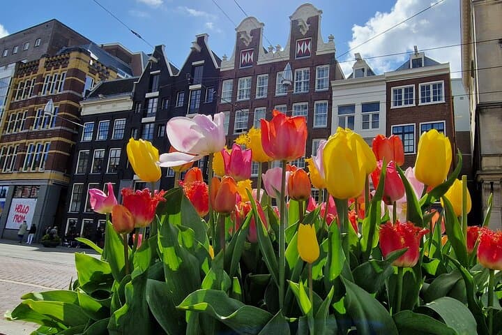 Amsterdam Self-Guided Walking Route: Highlights and Hidden Gems