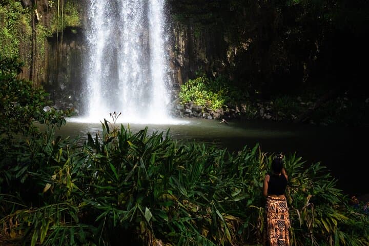 Cairns Private Waterfall Escape: Tailored Day to Millaa Millaa, Josephine & Babinda