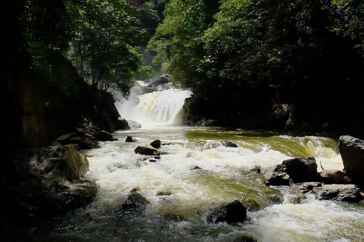 Cairns Private Waterfall Escape: Tailored Day to Millaa Millaa, Josephine & Babinda photo 2