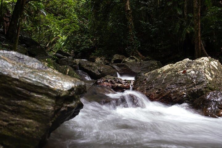 Cairns Private Waterfall Escape: Tailored Day to Millaa Millaa, Josephine & Babinda photo 4