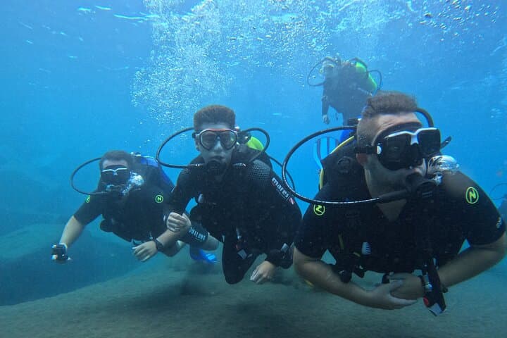 First-Time Scuba Dive in Tenerife: Guided Intro with Photos & Certified Instructors photo 6